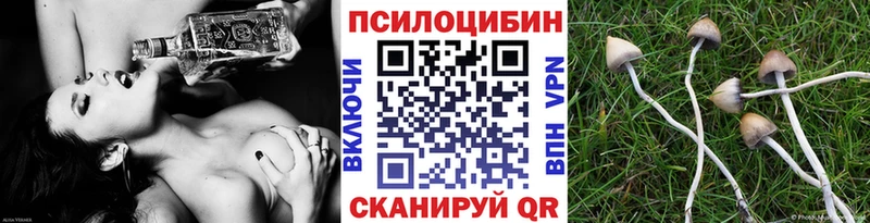 Галлюциногенные грибы Psilocybine cubensis  закладка  Сухиничи 